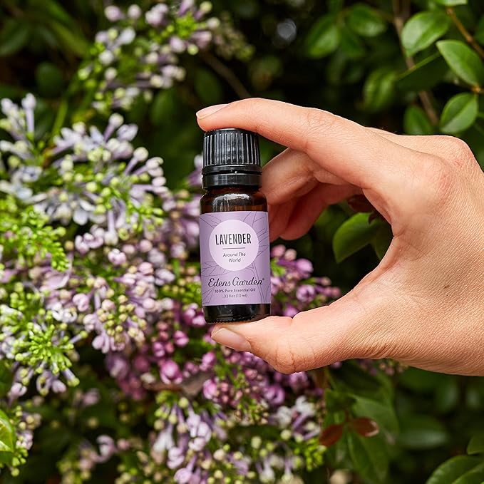 Edens Garden Lavender Around The World Essential Oil- 100% Pure Premium Grade, Undiluted, Natural, Therapeutic, Aromatherapy, The Best for Diffuser, Skin, Face, Candle 10 ml (.33 fl oz)
