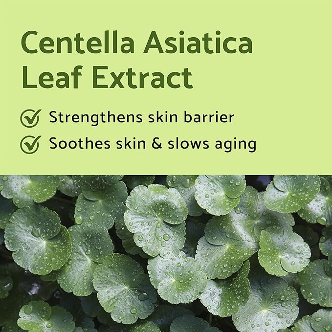 iUNIK Centella Mini Set & Vitamin C Face Toner Travel Friendly Trial Kit Intense Calming Soothing Serum Ampoule Moisturizer Cream Tea Tree Hyaluronic Acid Deep Nourishing Revitalizing Korean Skincare