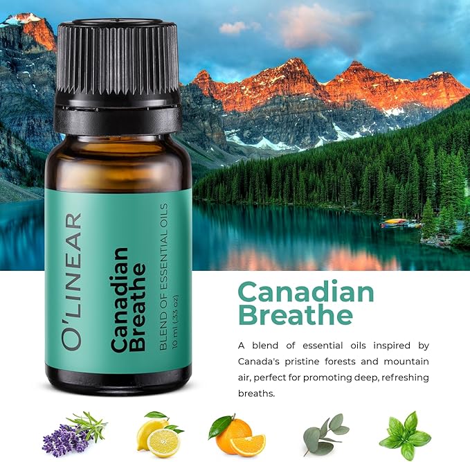 Scent of Adventure Essential Oils Set 6 Aromatherapy Diffuser Blends for Home Office Humidifier Car Fresheners Premium Grade Relaxation Scented Oil Diffuser Refill Essentials Pack Christmas Gift Set