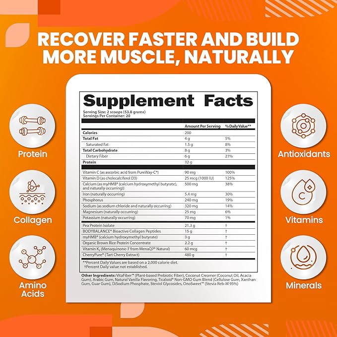 SaltWrap Protein Clinic – Total Body Recovery Shake with Collagen Peptides, HMB, Tart Cherry Extract, Pea Protein Isolate and Prebiotic Fiber for Joints & Muscle Recovery - Creamy Chocolate Fudge