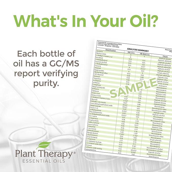 Plant Therapy Respir Aid Essential Oil - Sinus, Airway and Congestion Clearing Synergy Blend 100% Pure, Pre-Diluted Roll-On, Natural Aromatherapy, Therapeutic Grade 10 mL (1/3 oz)