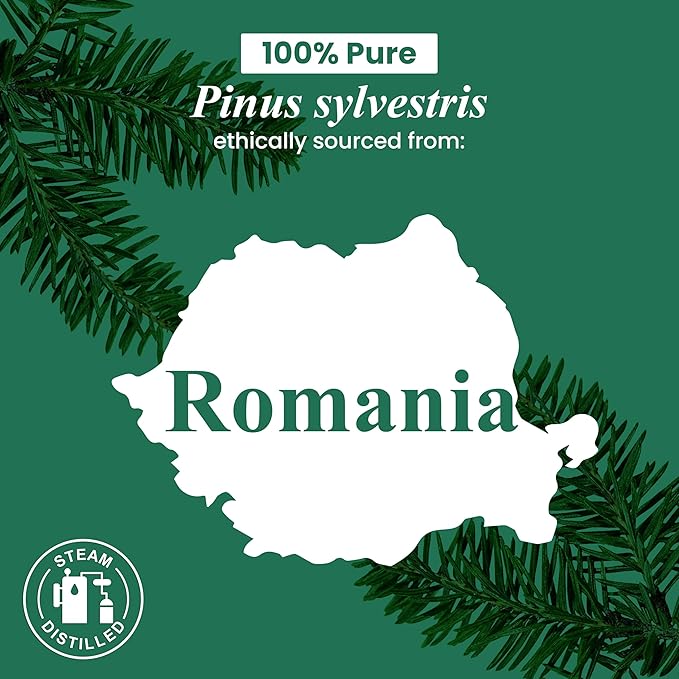 Handcraft Blends Pine Essential Oil - 1 Fl Oz - 100% Pure and Natural - Premium Grade Essential Oil for Diffuser and Aromatherapy