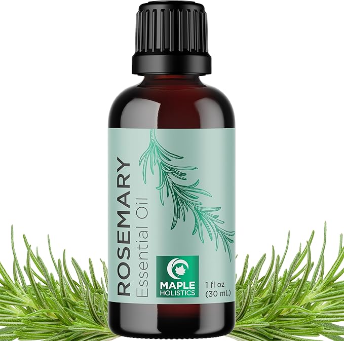 Maple Holistics Rosemary Essential Oil - Pure for Aromatherapy, Hair, Skin and Nails - Refreshing for Diffusers, Dry Scalp Treatment