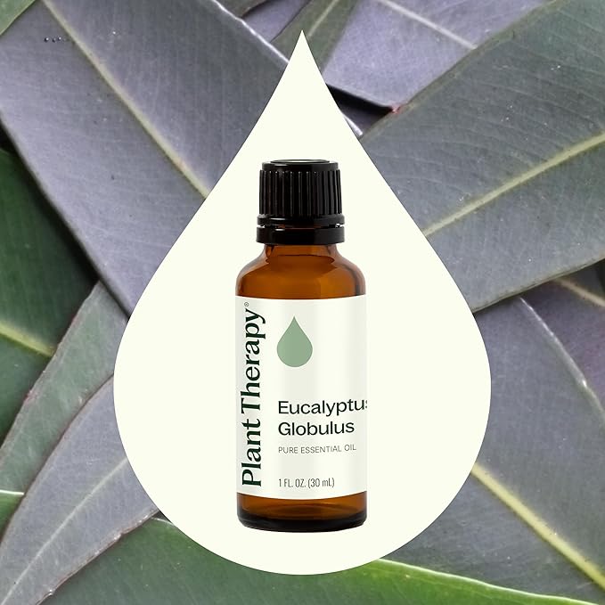 Plant Therapy Eucalyptus Globulus Essential Oil 30 mL (1 oz) for Diffuser, Skin, Hair, Aromatherapy DIYs, and Clear Breathing, 100% Pure, Undiluted, Therapeutic Grade