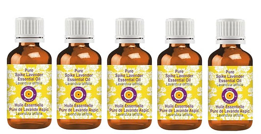 dève herbes Pure Spike Lavender Essential Oil (Lavandula latifolia) Steam Distilled (Pack of Five) 100ml X 5 (16.9 oz)
