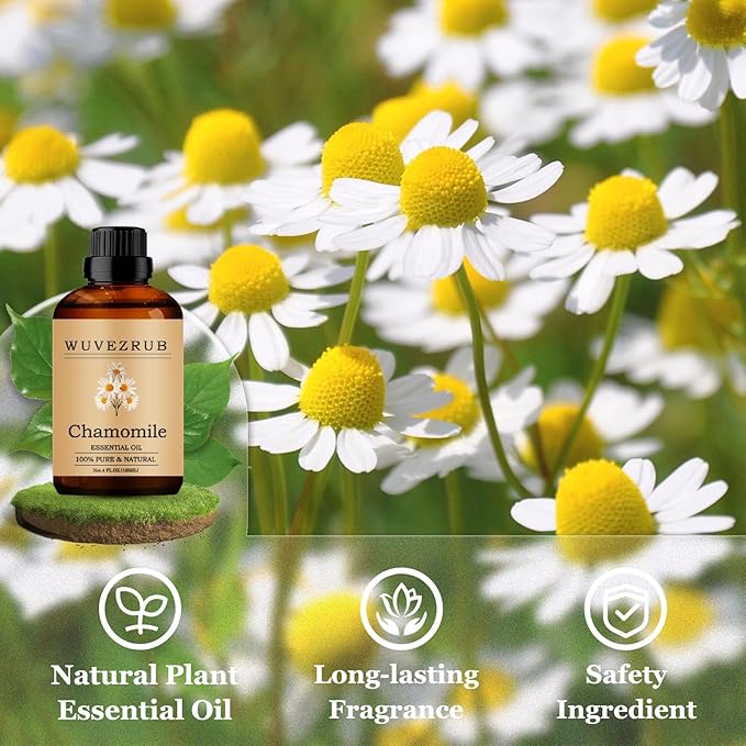 Chamomile Essential Oils 120ML, Pure Chamomile Essential Oil for Aromatherapy Diffuser - 4 Fl Oz