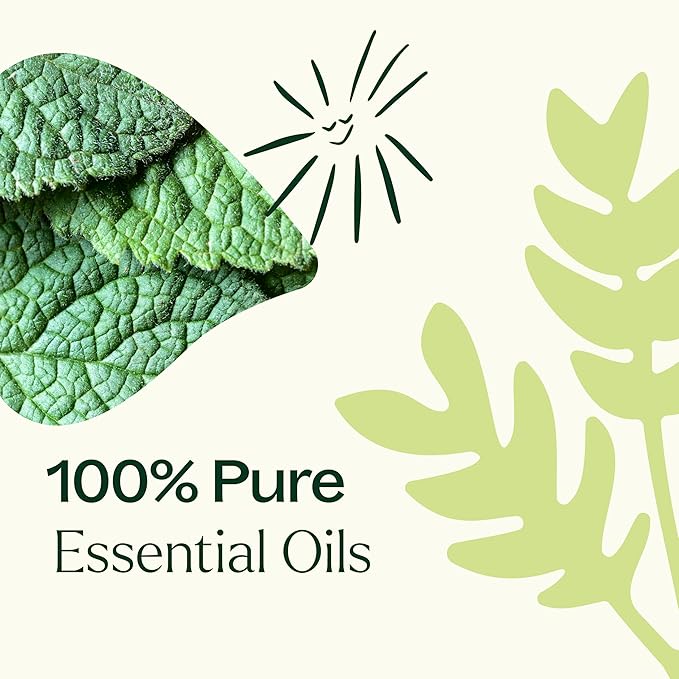 Plant Therapy Pain Support Essential Oil Roll On Blend Set 10 mL (1/3 oz) Each of Ache Away, Rapid Relief & Tension Relief, Pure, Pre-Diluted, Essential Oil Blends