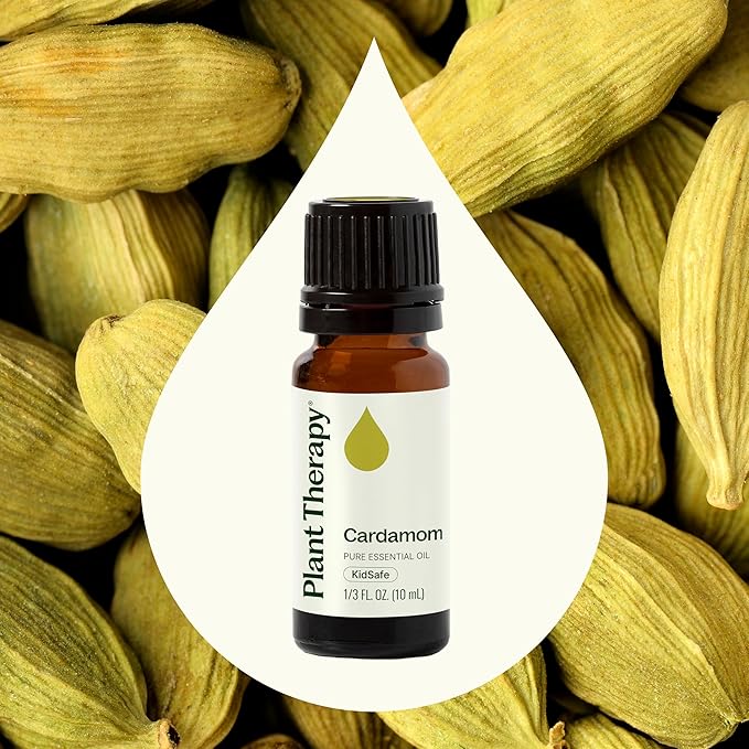 Plant Therapy Cardamom Essential Oil 10 mL (1/3 oz) 100% Pure, Undiluted, Therapeutic Grade
