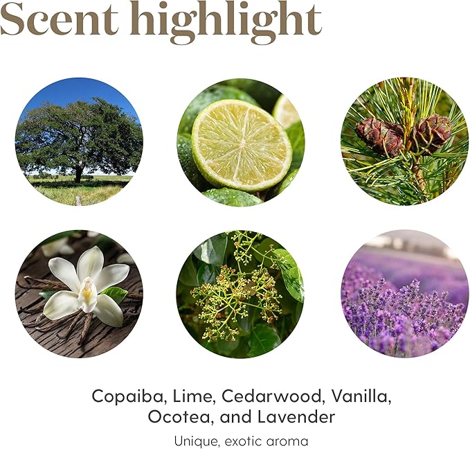 Young Living Calming, Relaxing Essential Oil Blend | 15 ml | Exotic Aroma with Copaiba, Lime, Lavender & Vanilla | Soothing Fragrance for Home, Work, and Personal Use