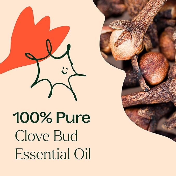 Plant Therapy Clove Bud Essential Oil 100% Pure, Undiluted, Natural Aromatherapy, Therapeutic Grade 30 ml (1 oz)