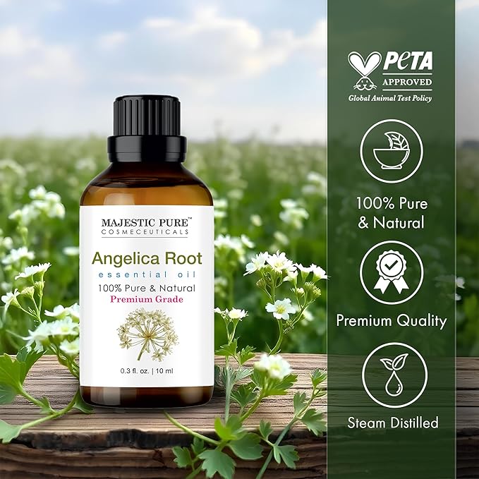 MAJESTIC PURE Angelica Root Essential Oil | 100% Pure and Natural Oil | Premium Grade Essential Oils for Hair Care, Home Diffusers, Skin, Aromatherapy, Massage and Humidifiers | 0.3 Fl Oz