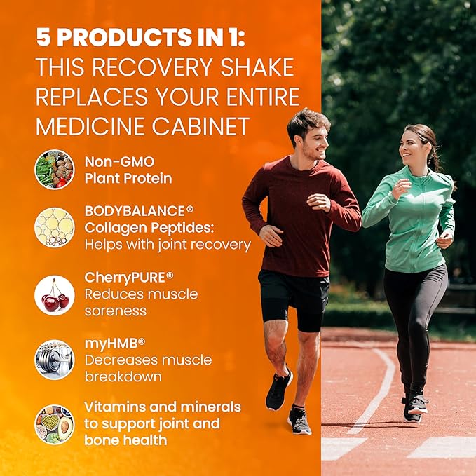 SaltWrap Protein Clinic – Total Body Recovery Shake with Collagen Peptides, HMB, Tart Cherry Extract, Pea Protein Isolate and Prebiotic Fiber for Joints & Muscle Recovery - Creamy Chocolate Fudge