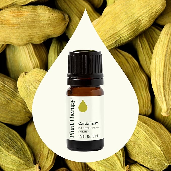 Plant Therapy Cardamom Essential Oil 5 mL (1/6 oz) 100% Pure, Undiluted, Therapeutic Grade