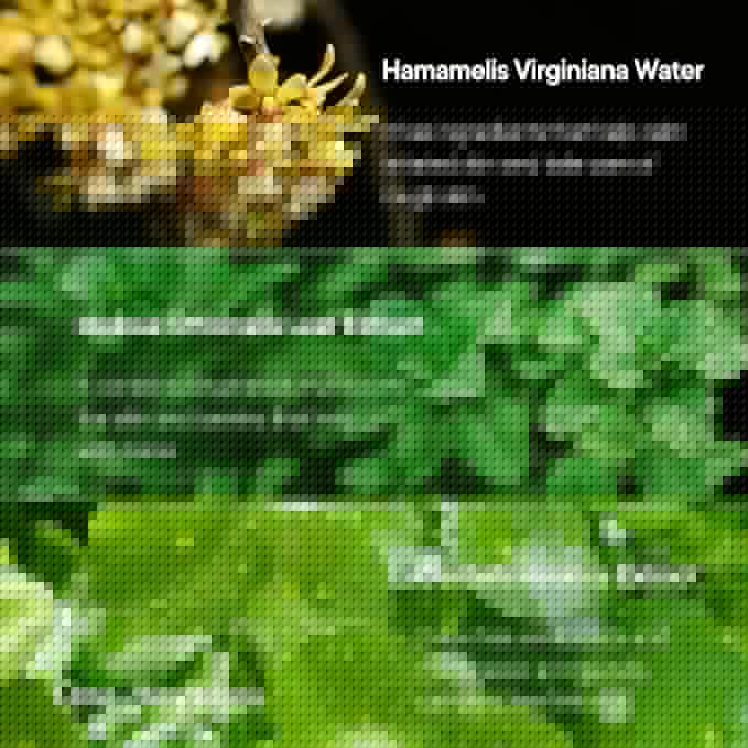 ONE-DAY’S YOU PZ SSOC SSOC Blackhead Remover Strips | Korean Pore Strips for Face & Nose | Deep Cleansing Pore Strips | Blackhead Remover with Sulfur, Tea Tree, & Salicylic Acid | 2.7 fl