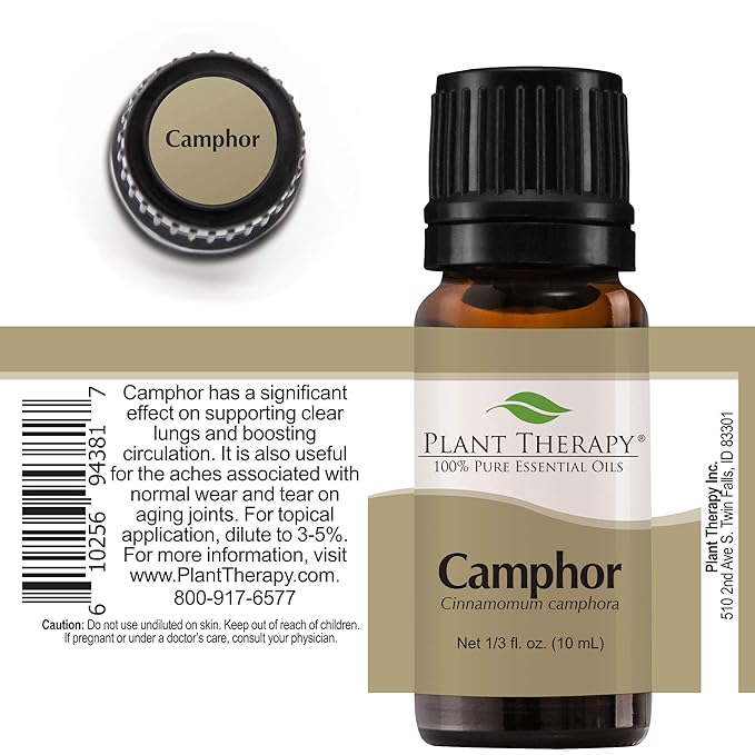 Plant Therapy White Camphor Essential Oil 10 mL (1/3 oz) 100% Pure, Undiluted, Therapeutic Grade