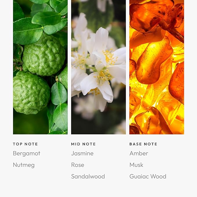 Aroma360 Allure Pro Pod 50ML - Fragrance Oil Blend | Hotel Inspired Luxury Essential Oil Diffuser | Aromatherapy Scent Diffuser Oils | Notes of Bergamot, Nutmeg, Jasmine, Rose, Sandalwood, and More.