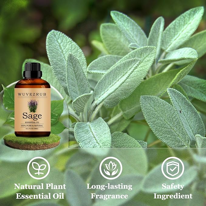 Sage Essential Oils 120ML, Pure Sage Essential Oil for Aromatherapy Diffuser - 4 Fl Oz