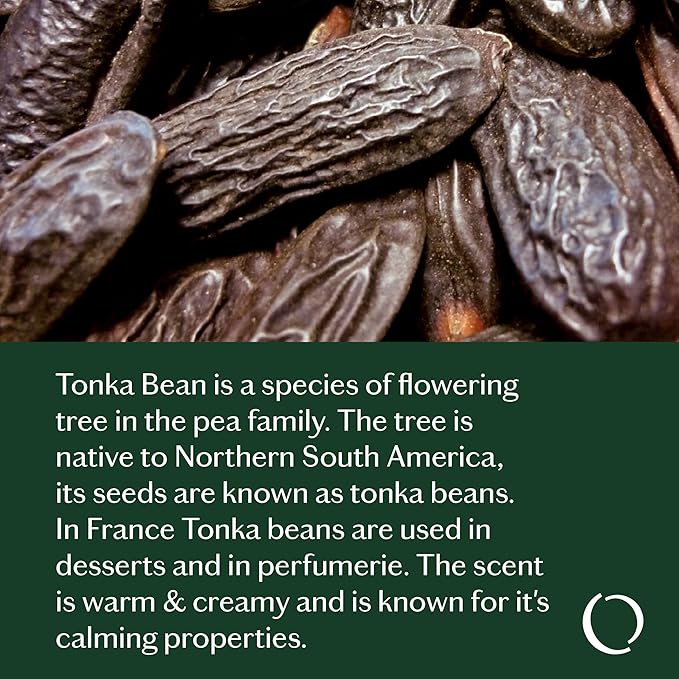 LIVEDROPS 24/7 Sleep Good Essential Oil Blend Crafted in France. Lavender, Rose & Tonka. Pure & Natural Aromatherapy Skin Safe & Diffuser Compatible Clinically Tested