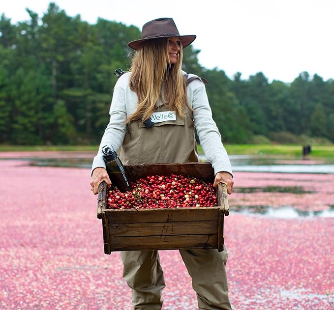 WelleCo The Super Elixir Daily Greens Powder, Probiotic Drink Mix with Whole Foods, Gluten Free, Vegan Gut Health Powder, Energy, Immunity, Healthy Skin, Hair & Nails (300g, Mixed Berry)