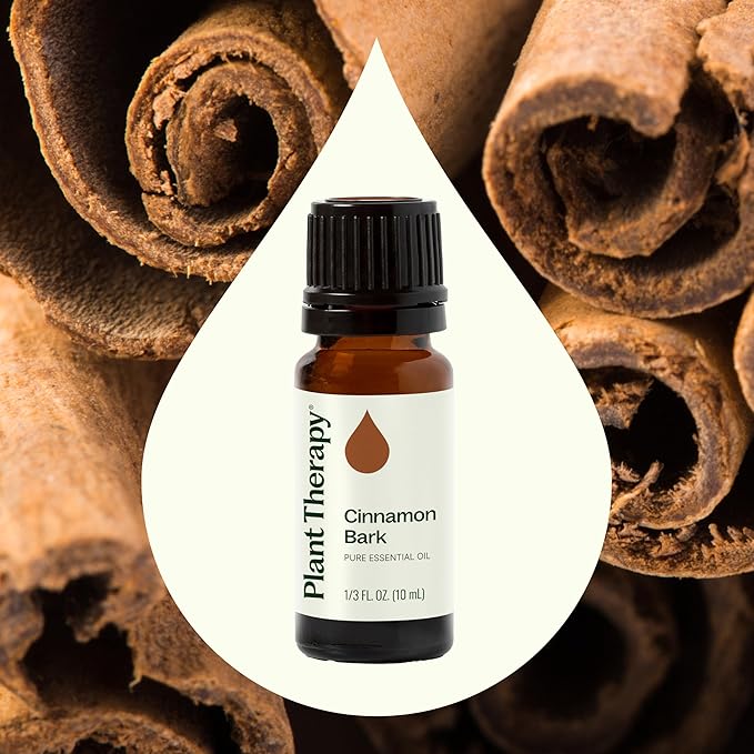 Plant Therapy Cinnamon Bark Essential Oil 10 mL (1/3 oz) 100% Pure, Undiluted, Cinnamon Oil for Diffuser, Spray, Candle Making, Spicy, Sweet Scent, Therapeutic Grade