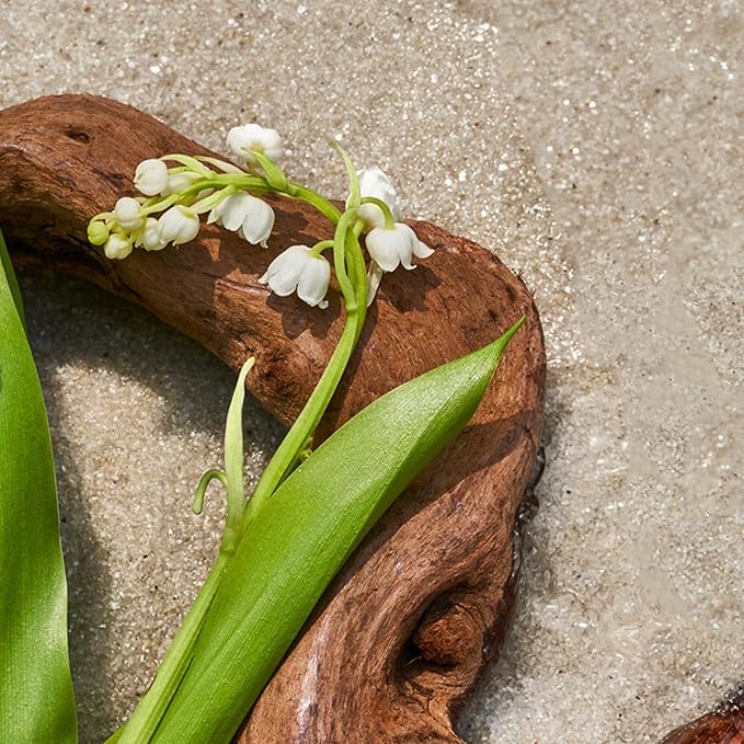 AromaTech Santal Escape Aroma Essential Oil Blend: Luxury Hotel Inspired Aromatherapy with Ocean Air, Sandalwood, Iris for Ultrasonic Diffusers & Nebulizers - 16 fl oz, 500 mL