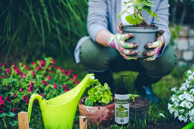 velona Neem Oil USDA Certified Organic - 64 Fl Oz | 100% Pure and Natural Carrier Oil | Virgin, Unrefined, Cold Pressed | Hair, Body and Skin Care | Use Today - Enjoy Results