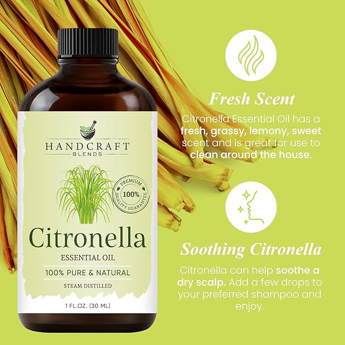 Handcraft Blends Citronella Essential Oil - 1 Fl Oz - 100% Pure and Natural - Premium Grade Essential Oil for Diffuser and Aromatherapy