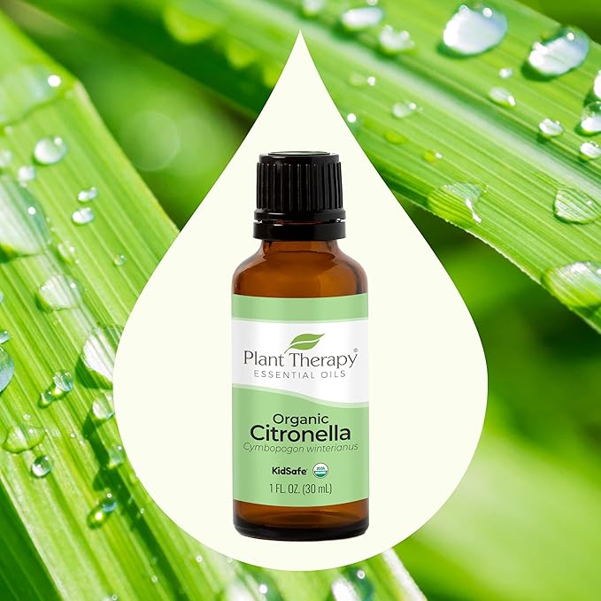 Plant Therapy Citronella Organic Essential Oil 100% Pure, USDA Certified Organic, Undiluted, Natural Aromatherapy, Therapeutic Grade 30 mL (1 oz)