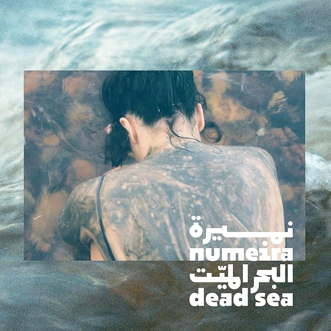 Dead Sea Mud Mask for Face & Body with Trace Minerals - Harvested from Jordan - Pore Reducer Mud Mask for Acne Skin - Gentle Dead Skin Remover for Face - Hydrating Facial Mask