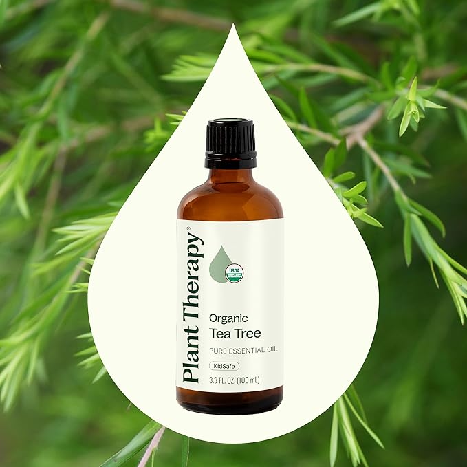 Plant Therapy Organic Tea Tree Oil (Melaleuca) 100% Pure, USDA Certified Organic, Undiluted, Natural Aromatherapy, Therapeutic Grade 100 mL (3.3 oz)