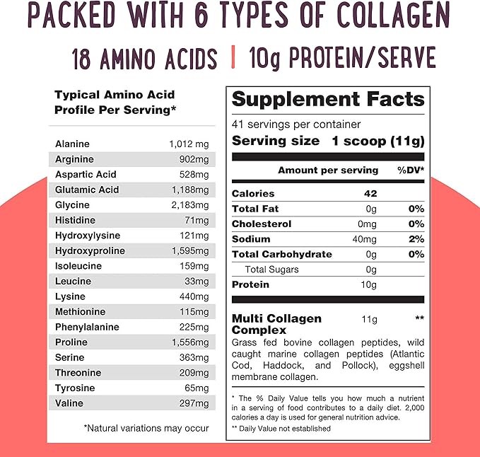 Multi Collagen Protein Powder Type I II III IV V X - Unflavored & Hydrolyzed 16Oz Pure Collagen Peptides Powder - Grass Fed Beef, Wild Fish Marine & USA Eggshell - Whole Body Collagen
