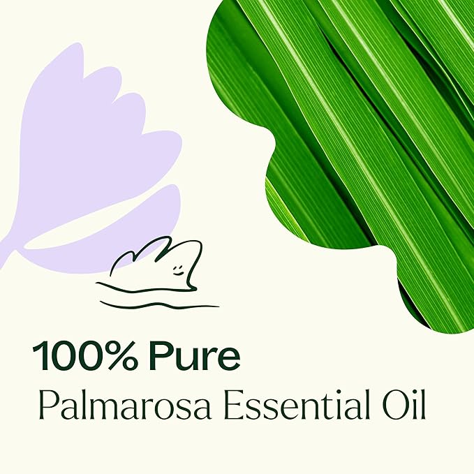 Plant Therapy Palmarosa Essential Oil 100% Pure, Undiluted, Natural Aromatherapy, Therapeutic Grade 30 mL (1 oz)