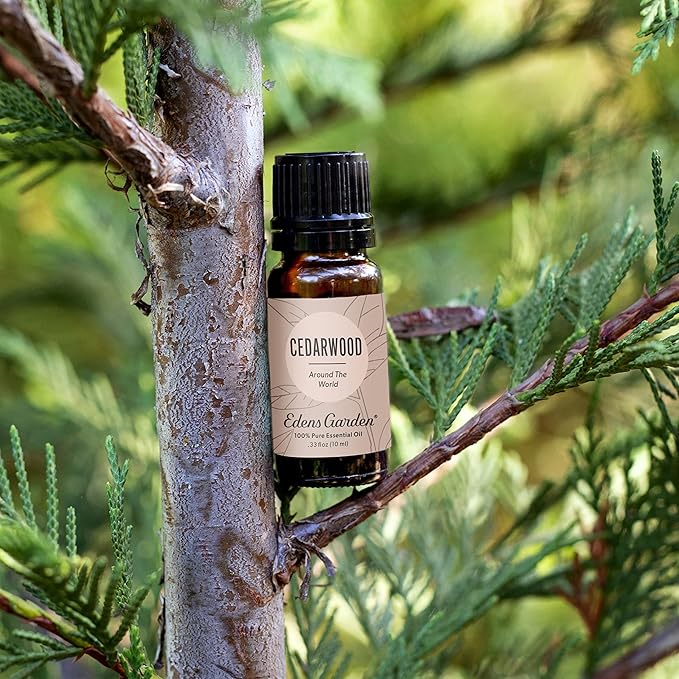 Edens Garden Cedarwood Around The World Essential Oil- 100% Pure Premium Grade, Undiluted, Natural, Therapeutic, Aromatherapy, The Best for Diffuser, Skin, Face, Hair 118 ml (4 fl oz)
