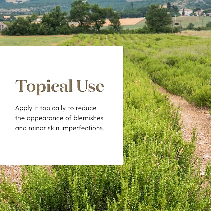 Young Living Melrose Essential Oil 15ml, Refreshing and Rejuvenating Blend, Promotes Skin Health and Soothes Minor Skin Irritations