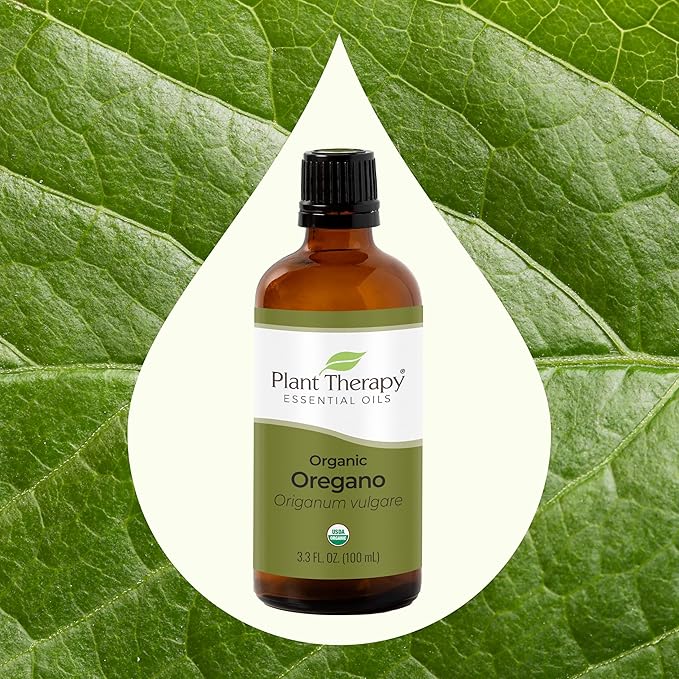 Plant Therapy Organic Oregano Essential Oil 100% Pure, USDA Certified Organic, Undiluted, Natural Aromatherapy, Therapeutic Grade 100 mL (3.3 oz)