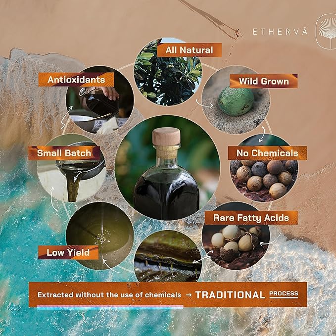 ETHERVA Tamanu Oil | No Chemicals | Natural Scent | Unrefined, Raw, Cold Pressed, Solidifies in Winter | Wild Grown Organic Indian Origin | DIY Face, Body, Scalp & Hair | PET Bottle 16.9 Fl Oz