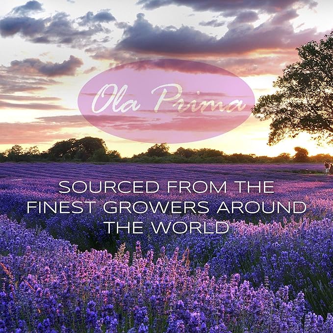 Ola Prima Tea Tree Essential Oil 8oz Pure Bulk - Therapeutic Grade Tea Tree Oil for Aromatherapy