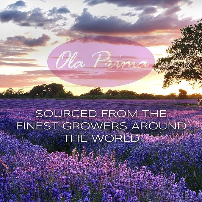 Ola Prima 16oz Tea Tree Essential Oil – Therapeutic Grade Bulk for Soap and Candle Making - Tea Tree Oil